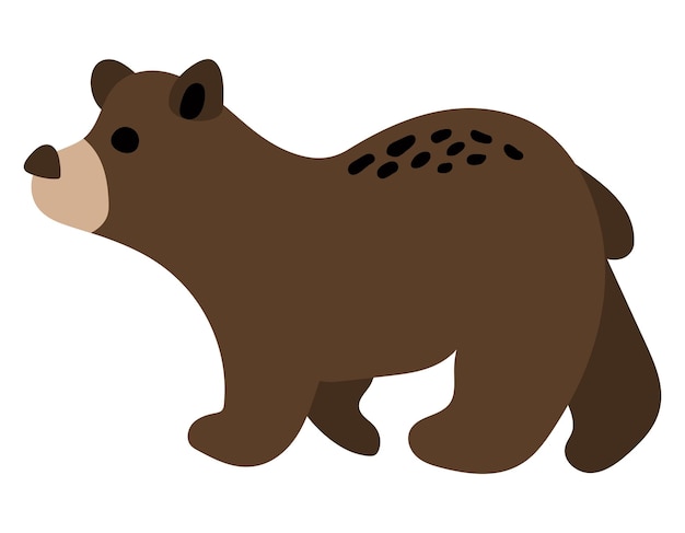 Forest brown bear White background isolate