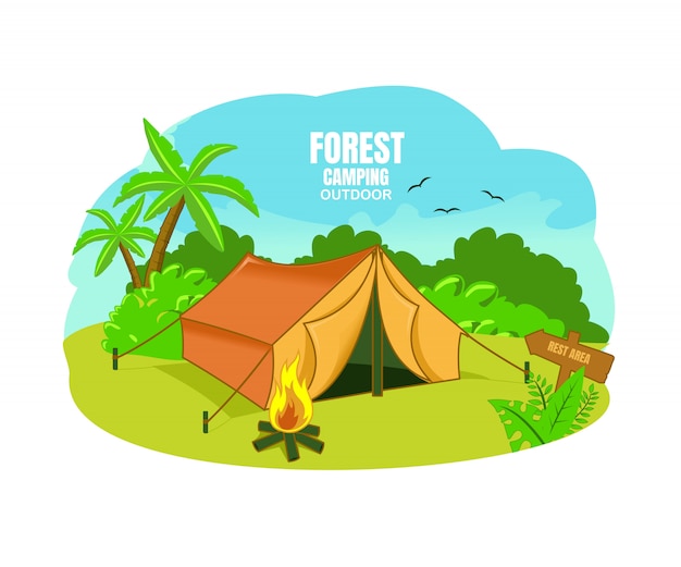 Forest camping