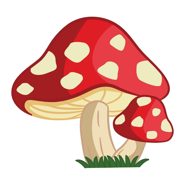 Forest Cartoon Mushrooms Amanita