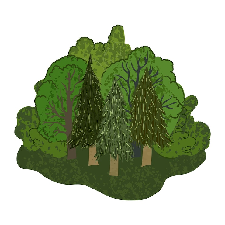 Vector forest colorful illustration