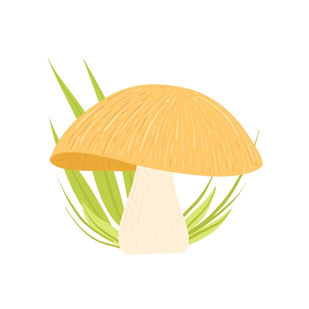 Forest edible mushroom wild organic product vector illustration