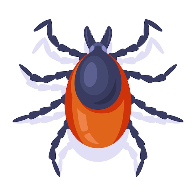 Forest encephalitis tick on a white background. insect dangerous to humans. flat vector illustration.