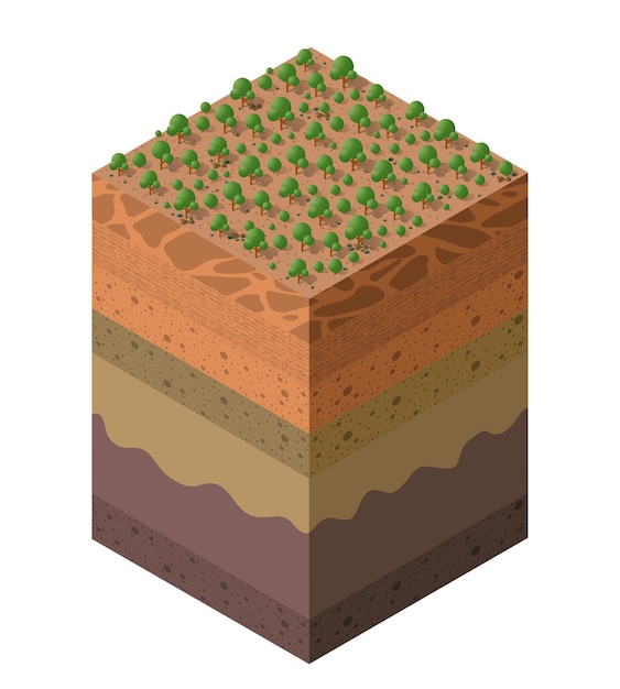 地質学的および地下の森林農場の土壌層