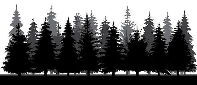 Forest fir trees silhouette design isolated vector