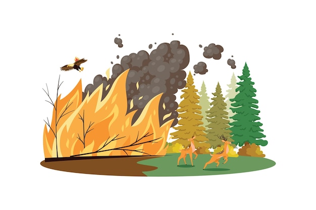 Forest Fires Illustration concept