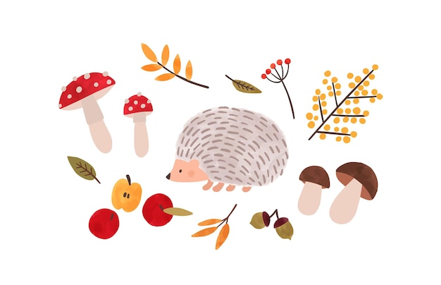 Лесная флора и фауна рисованной векторные иллюстрации. акварельная живопись символы осеннего сезона. еж, листва, грибы, органические яблоки и натуральные ягоды, изолированные на белом фоне.