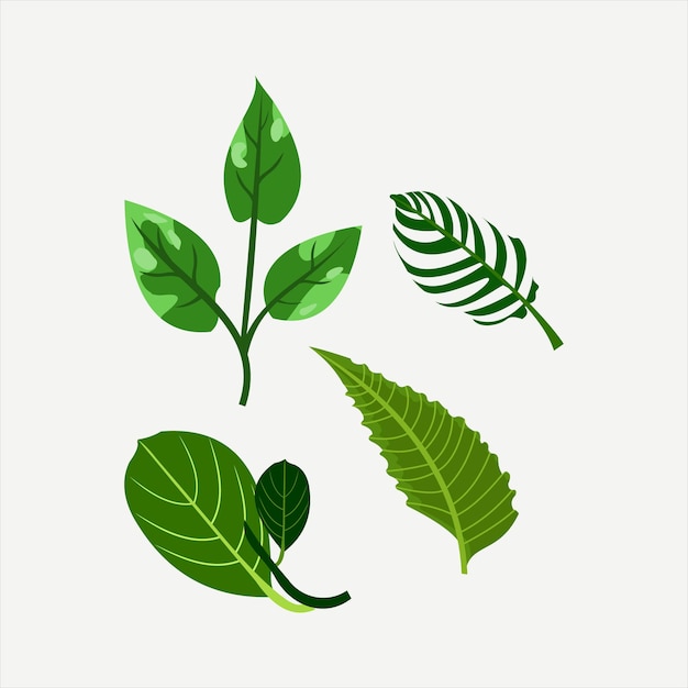 Forest green leaves illustration element collection