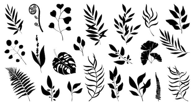 Forest herbs and tropical plants silhouettes big set of herbs for decorating invitations