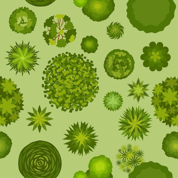 Vector forest landscape with trees top view seamless pattern. map plan with bush and tree plants. green park or garden aerial scheme vector texture