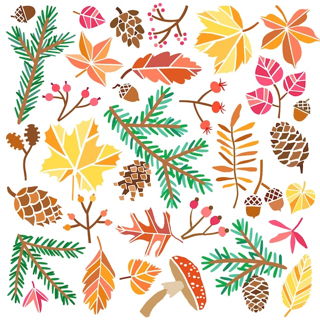 Vector forest leaves and foliage collection