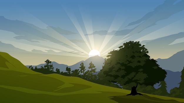 forest meadow landscape at sunrise