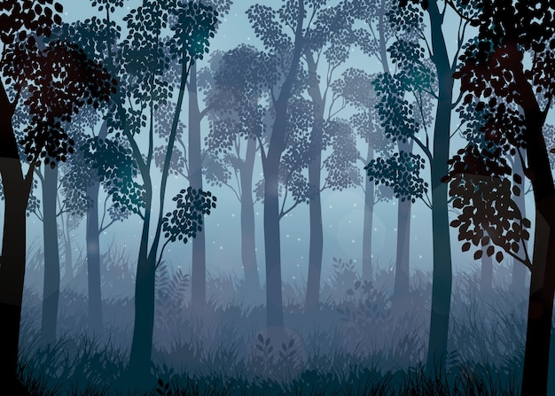 Vector forest at night background