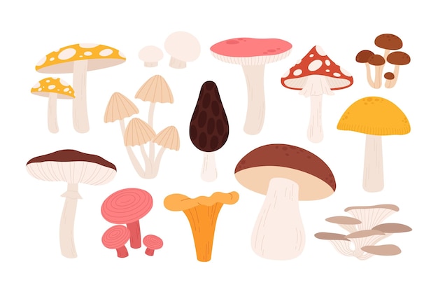 Forest paddenstoelen set chanterelle paddenstoel cartoon bos grondstoffen geïsoleerde amanita herfstplanten en vegetarisch voedsel racy vector set