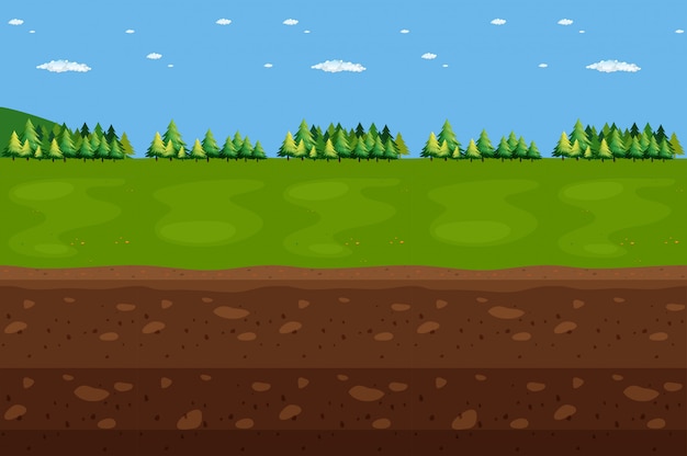 Vector forest panorama landscape and underground