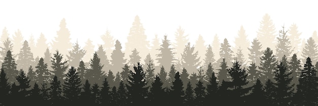 Forest panorama Wood landscape Variety of pine trees Vector EPS 10