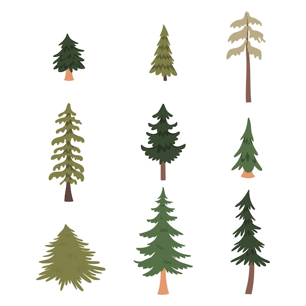 Vector forest pine trees set vector illustration