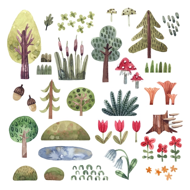 Forest plants set of watercolor illustrations isolated on a white background Trees bushes herbs