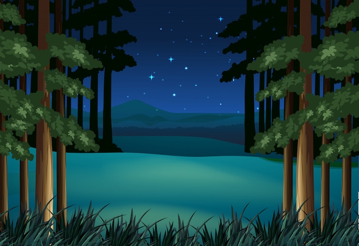 Vector 별 밤에 숲 현장