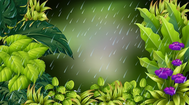 Vector forest scene on rainy day