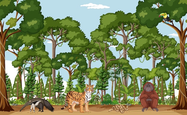 Forest scene with different wild animals