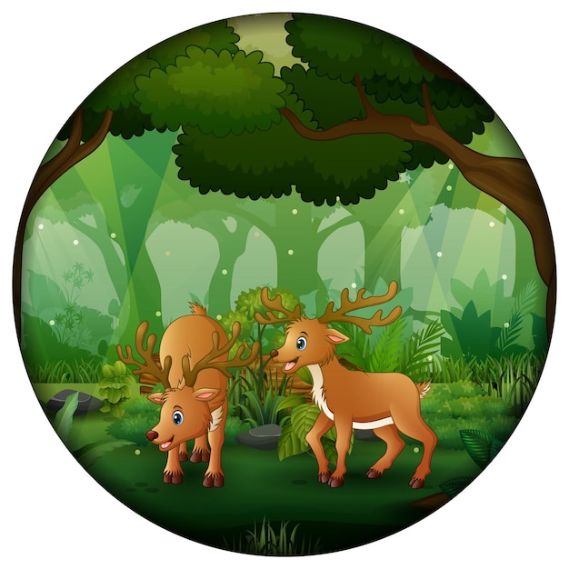 Vector forest scene with mother deer and cub in circular frame