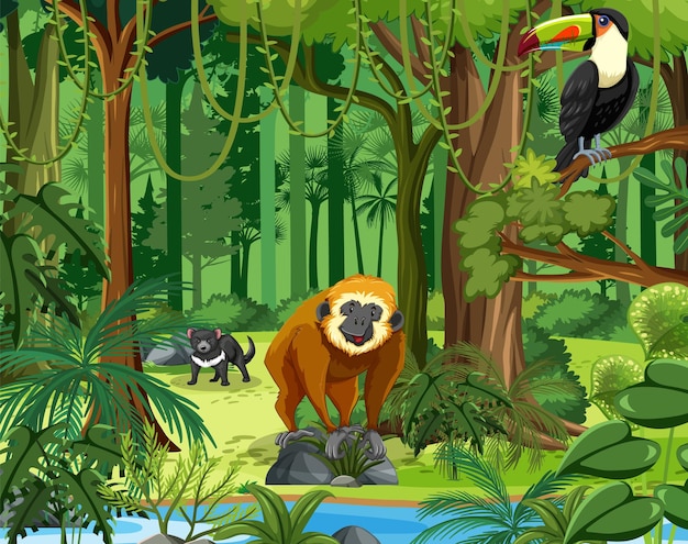 Vector forest scene with various wild animals