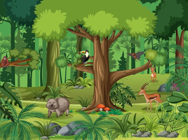 Scena della foresta con vari animali selvatici