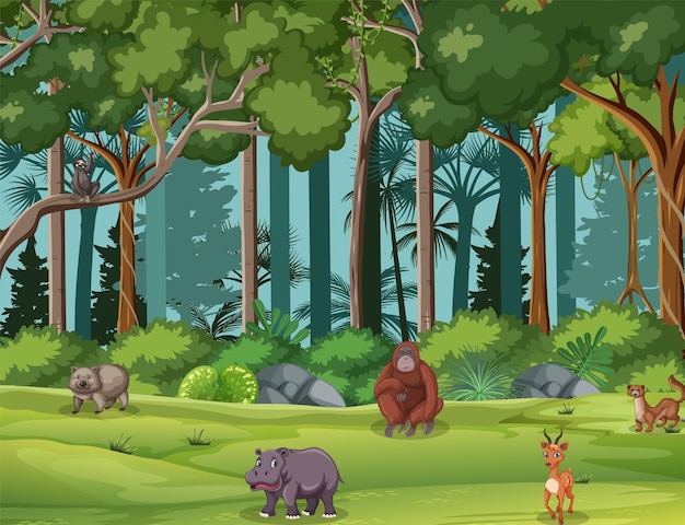 Forest scene with wild animals