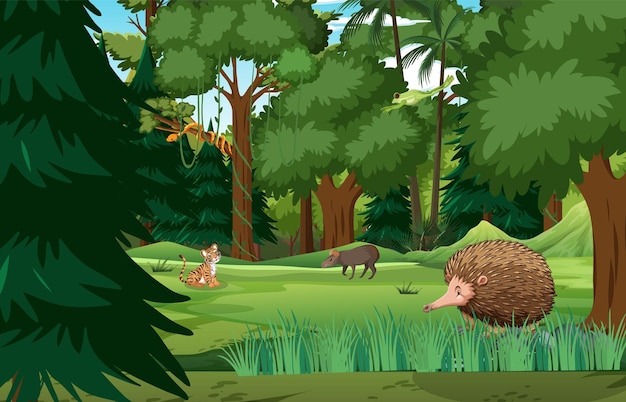 Vector forest scene with wild animals