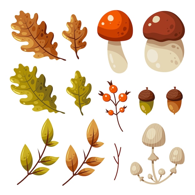 Forest set of mushrooms, leaves and other nature elements.