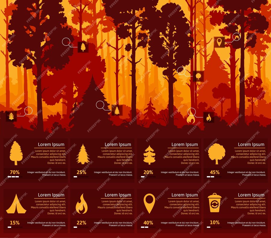 Premium Vector | Forest silhouette infographics nature landscape