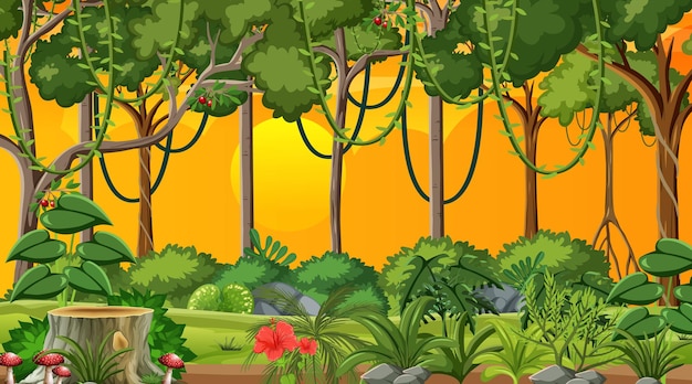 Vector forest at sunset time landscape scene