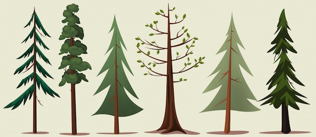 Vector forest trees variety