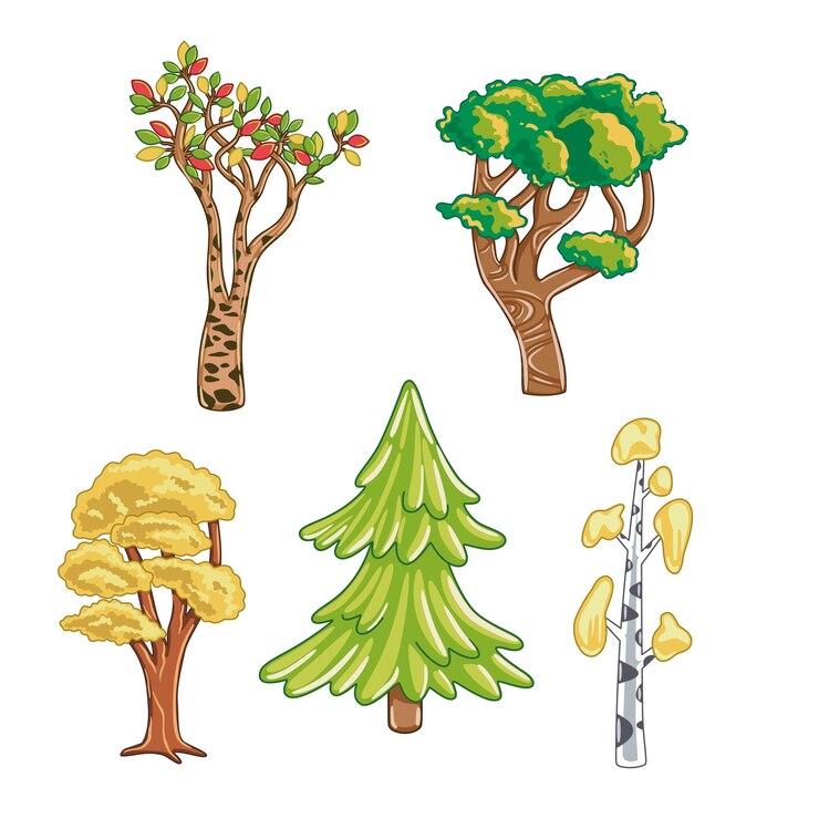 Vector forest trees woodland trees
