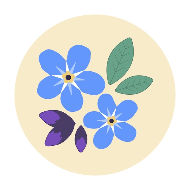 Forget me not flower Botanical floral element