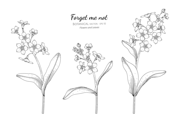 Forget Me Not Flower Temporary Tattoos  Kaz Creations