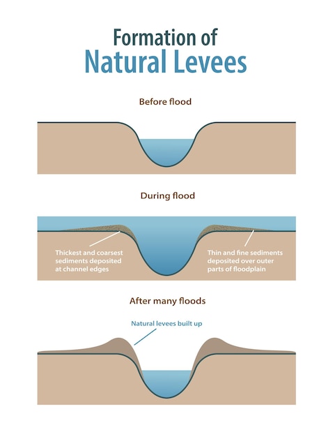 Vector formation of natural levees infographic