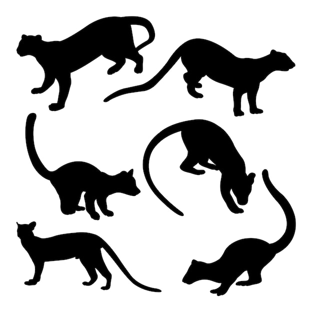 Fossa animal silhouettes