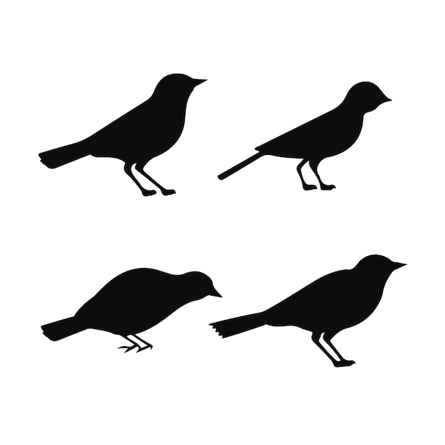 Foto van vogels silhouetten vector collectie ontwerp