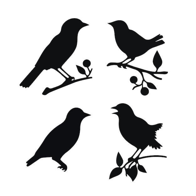 Foto van vogels silhouetten vector collectie ontwerp