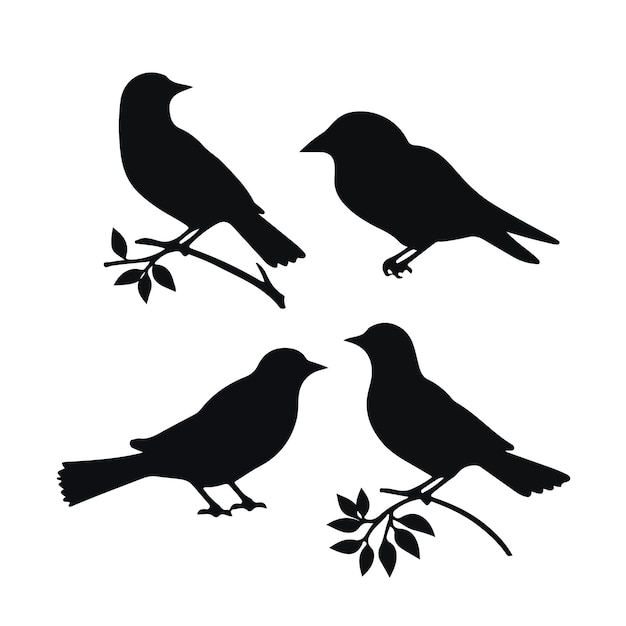 Foto van vogels silhouetten vector collectie ontwerp