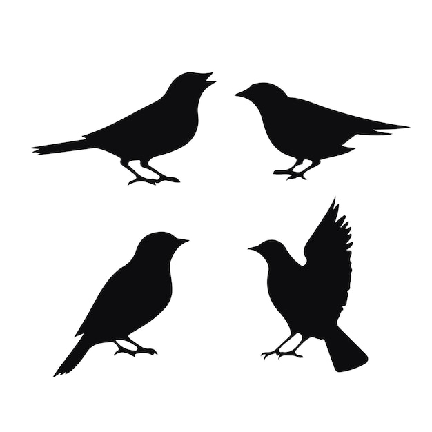 Foto van vogels silhouetten vector collectie ontwerp