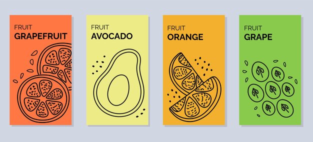 Four banners with contour vector illustrations of fruits grapefruit avocado orange grapes