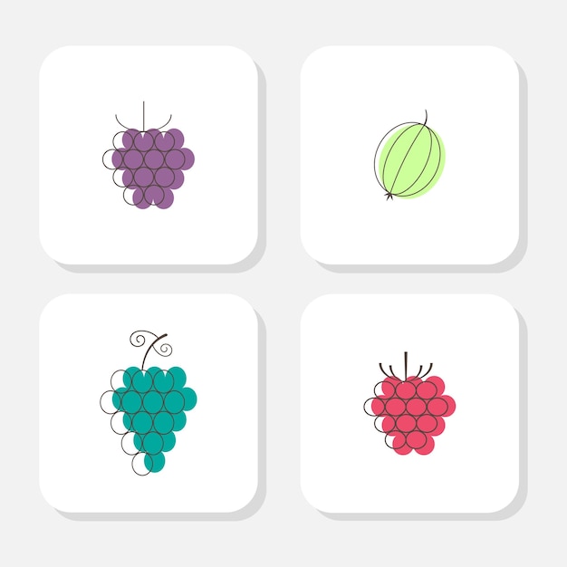 Vector four berry icons in line style