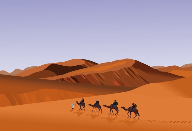 Four camel riders are hiking in the hot sun in the desert with sand mountain background.