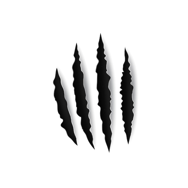 Four claws scratch trace isolated wild animal nails track on paper sheet Vector tiger bear or cat paw sherds Realistic 3d marks lion monster or beast breaks horror grunge slashes damaged edges