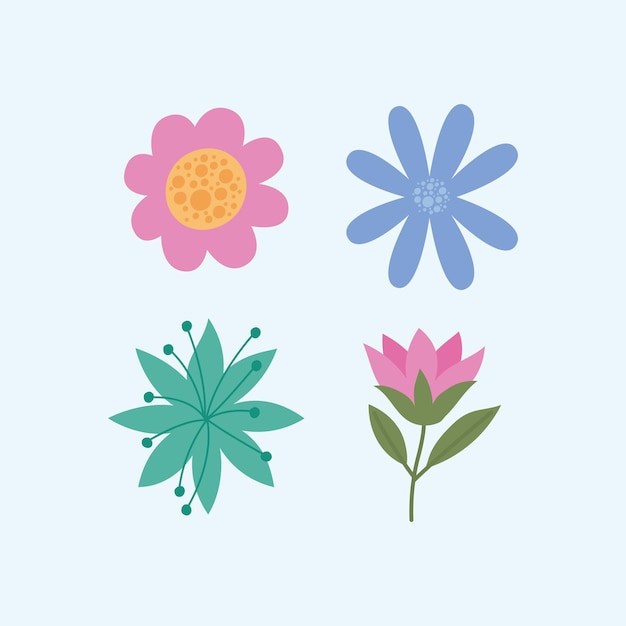 Quattro fiori colorati