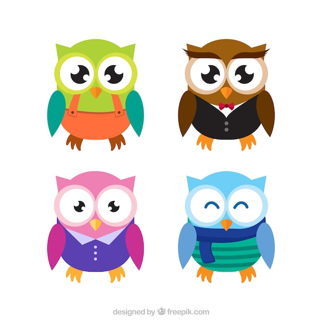 Vector four colored owls in flat design