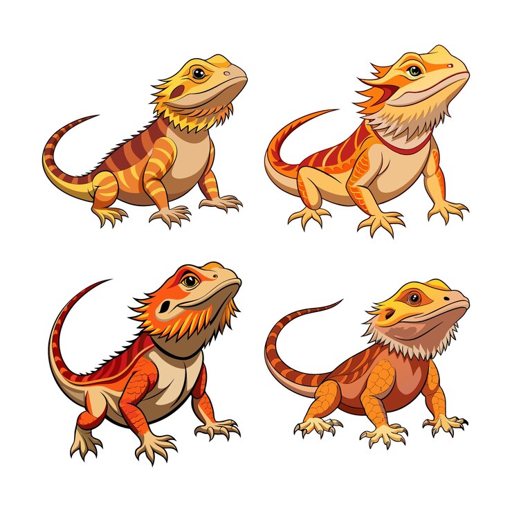Vector four colorful cartoon bearded dragons