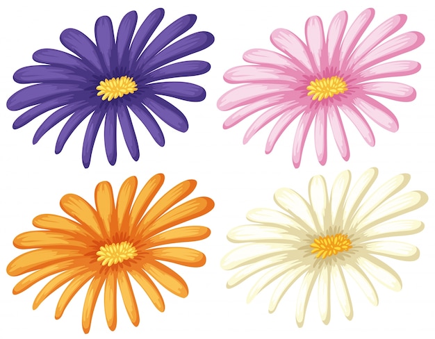 Vector four colors of flowers on white background